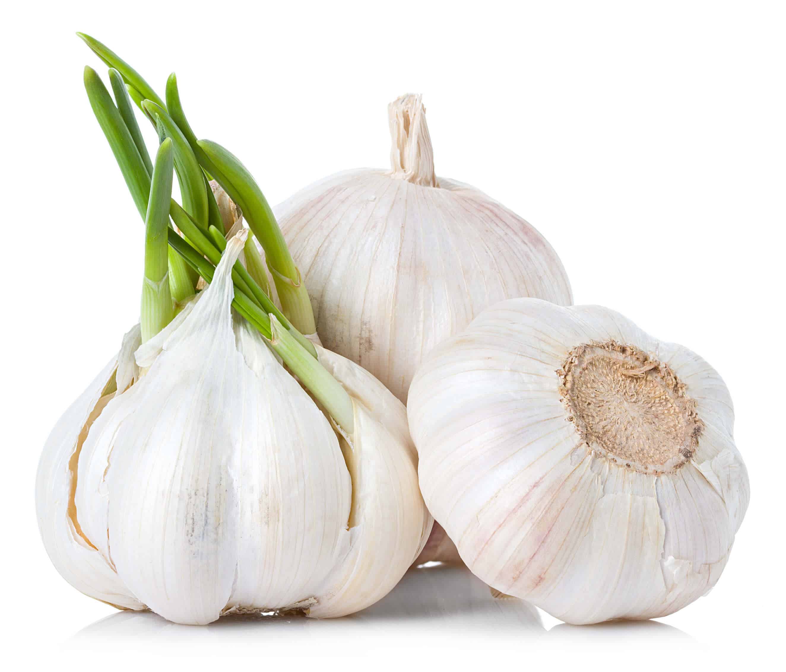 garlic for dandruff TRENDY DAMSELS