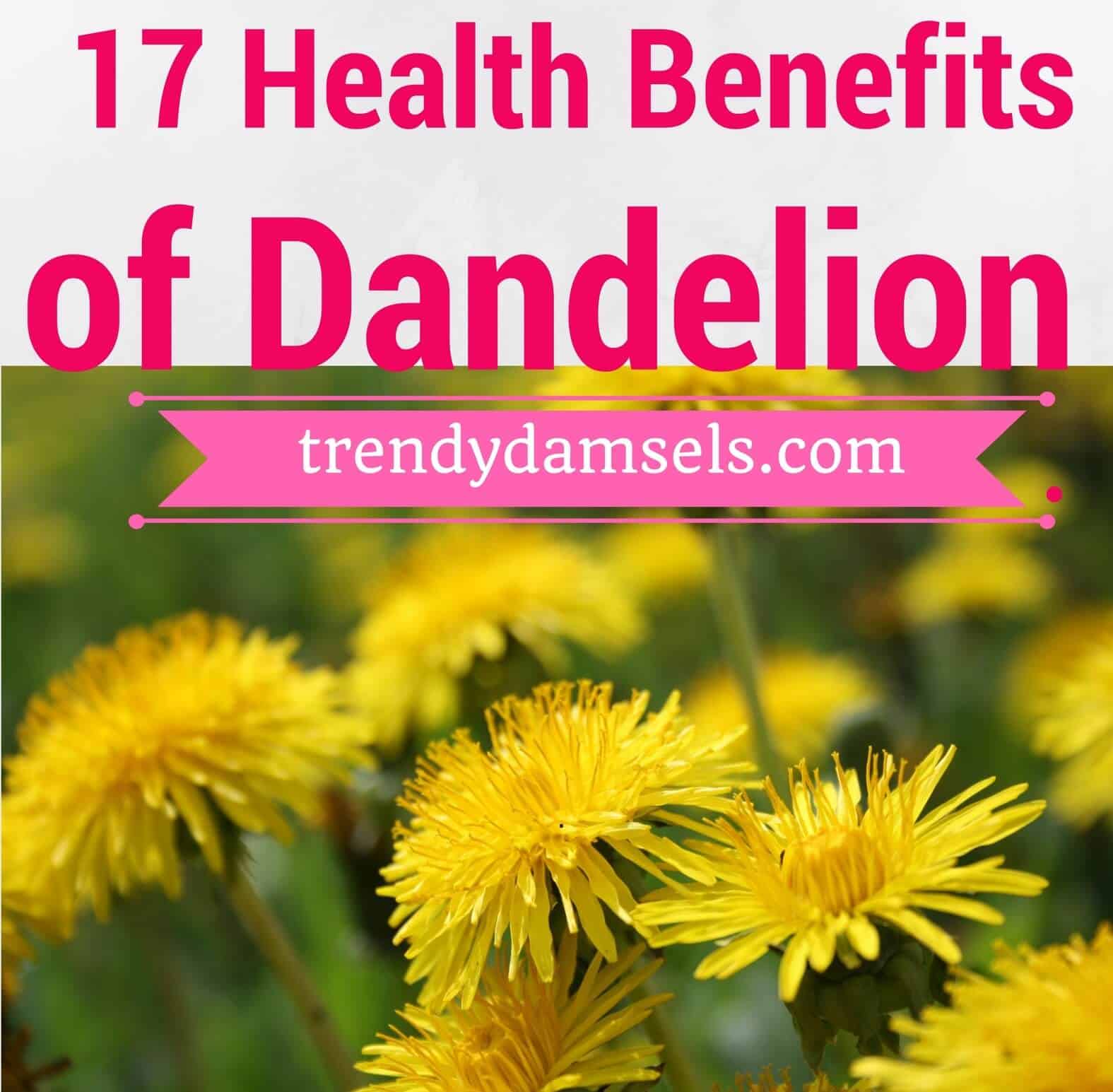 health-benefits-of-dandelion - TRENDY DAMSELS