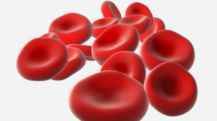 MCV Blood test: Normal Range, Calculation, High MCV, Low MCV causes