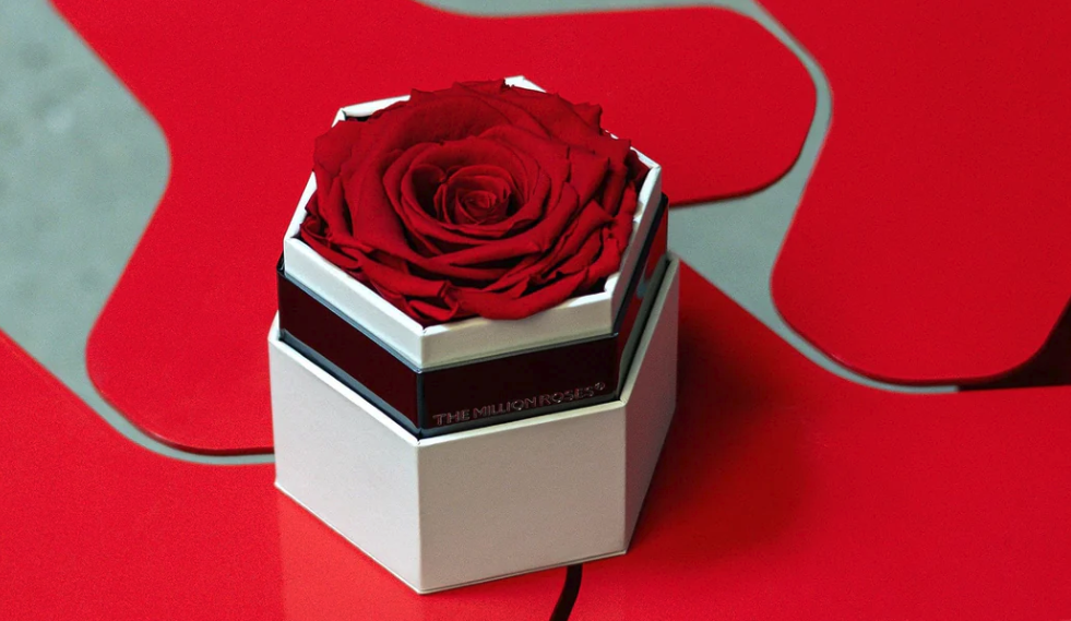 Fashion has always been more than clothing.